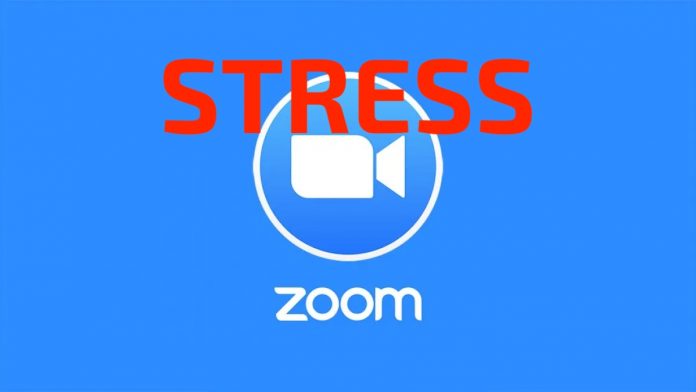 zoom stress